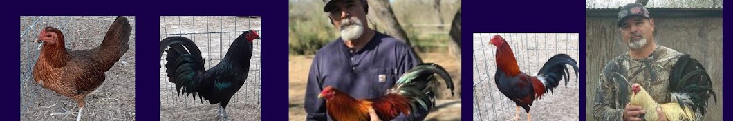 Game Fowl Heritage & Traditions