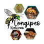 Longipes Nativas