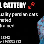 Pearl Cattery