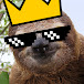 King Sloth