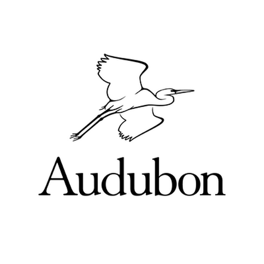 Superb Owl  Audubon Southwest