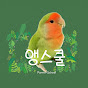 앵스쿨 Parrot School