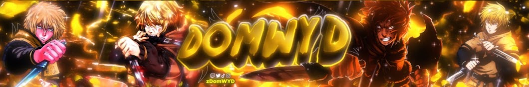 DomWYD