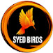 SYED BIRDS