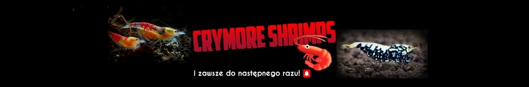 CryMore Shrimps