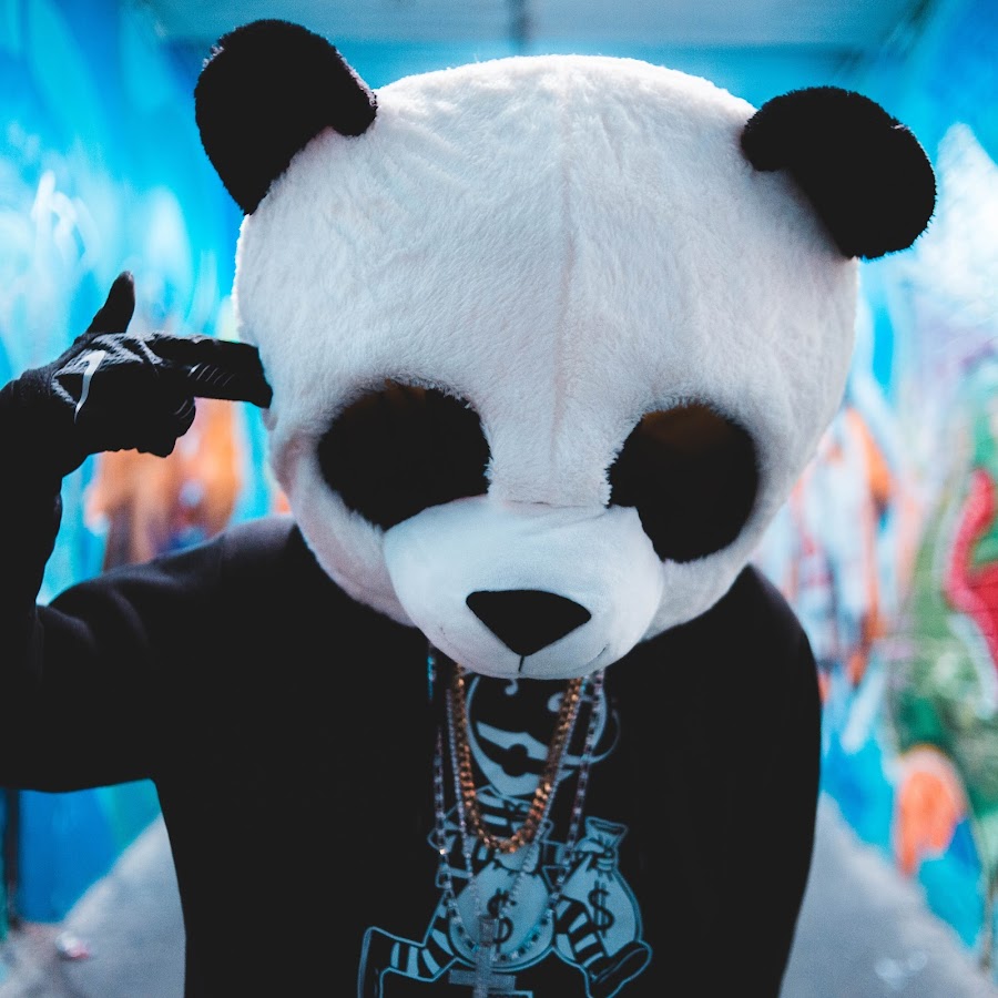 Энди Панда. Прическа Энди панды. Энди Панда в 2015. Музыкальная Пандочка.