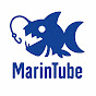 MarinTube - Underwater footage of Japan, Noto.