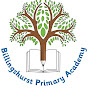 Billingshurst Primary Academy