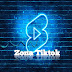 logo Zona Tiktok