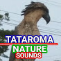 TATAROMA NATURE SOUNDS