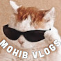 Mohib vlogs