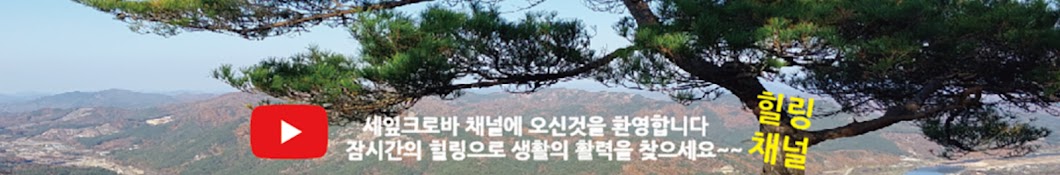 세잎크로바tv