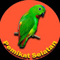 Pemikat Selatan