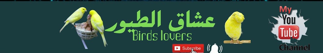 عشاق الطيور birds lovers