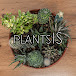 PlantsIS 🌱 Мои Растения