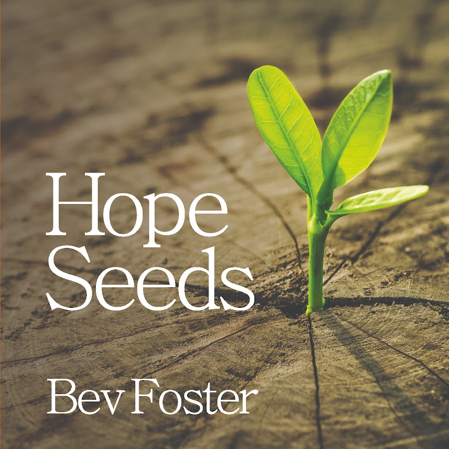 Seed of hope 2019