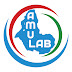 Africa Must Unite Lab