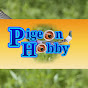Pigeon Hobby