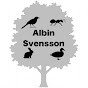 Albin Svensson