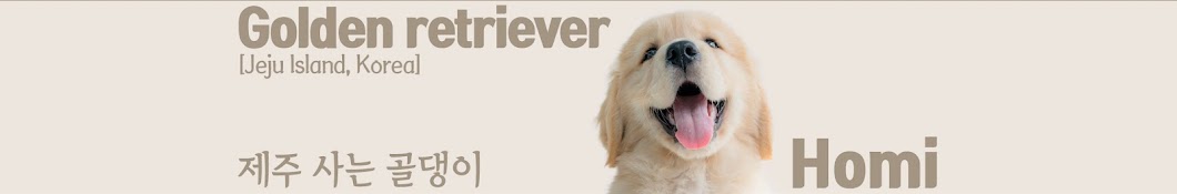 Jeju Island_Homi(golden retriever)