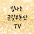 빛나는 금빛부동산TV