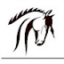 logo Ustallion