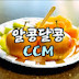 알콩달콩CCM-매주 화요일 밤 8시