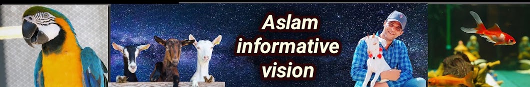 Aslam Informative Vision