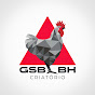 GSB_BH - a galinha dos “ovos de ouro”