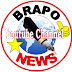 logo Brapo News