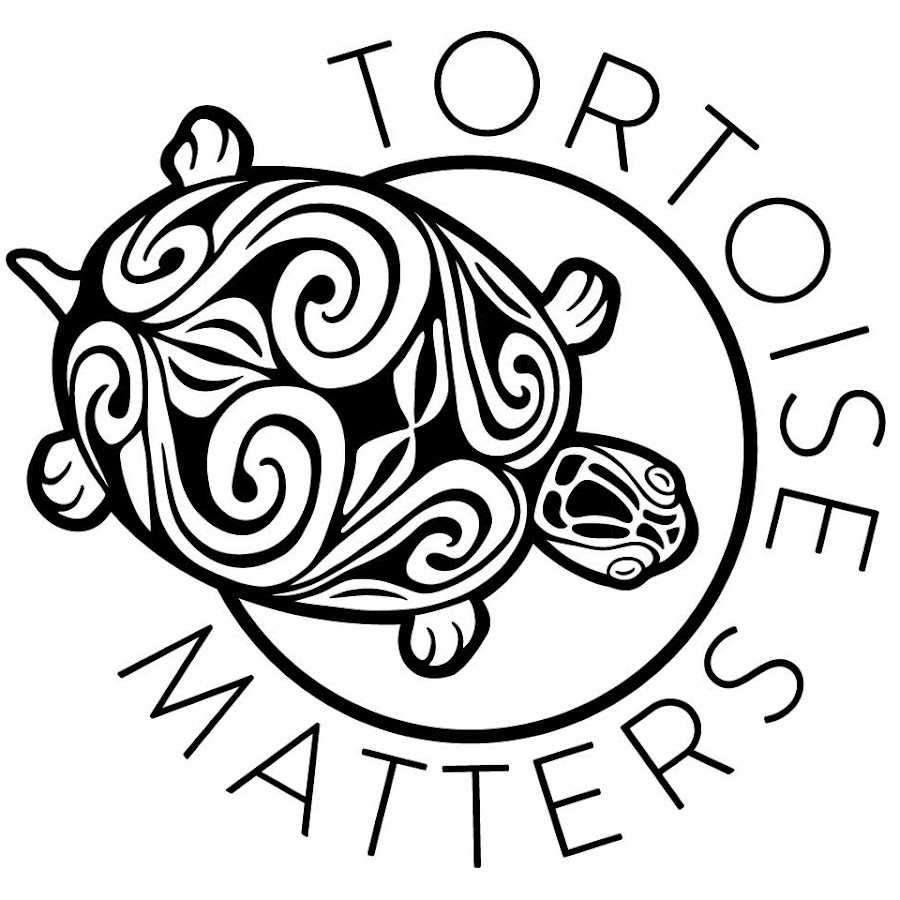 Tortoise Matters @tortoise_matters