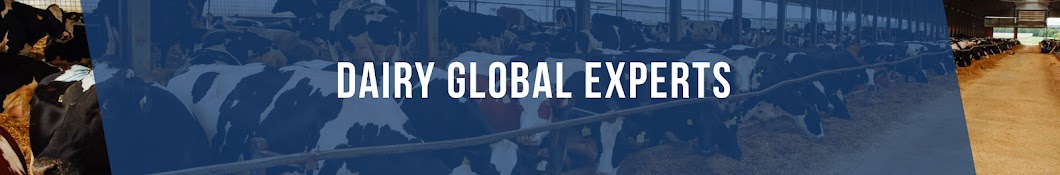 Dairy Global Experts