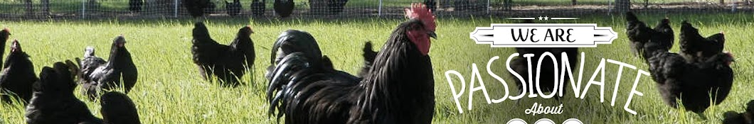 Sustainable Poultry Network - USA