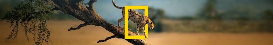 National Geographic Wild France Banner