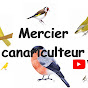 Mercier canariculteur