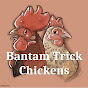 Bantam Trick Chickens