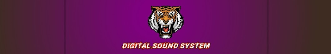 DIGITAL SOUND SYSTEM