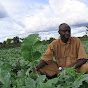 Organic farming and drip irrigation by Job Ndiso