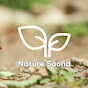 Nature sound