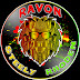 logo Ravon Steely Rhoden