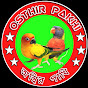 Osthir Pakhi-অস্হির পাখি