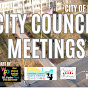 Flint City Council Meetings