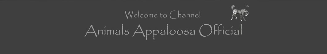 Animals Appaloosa - Official