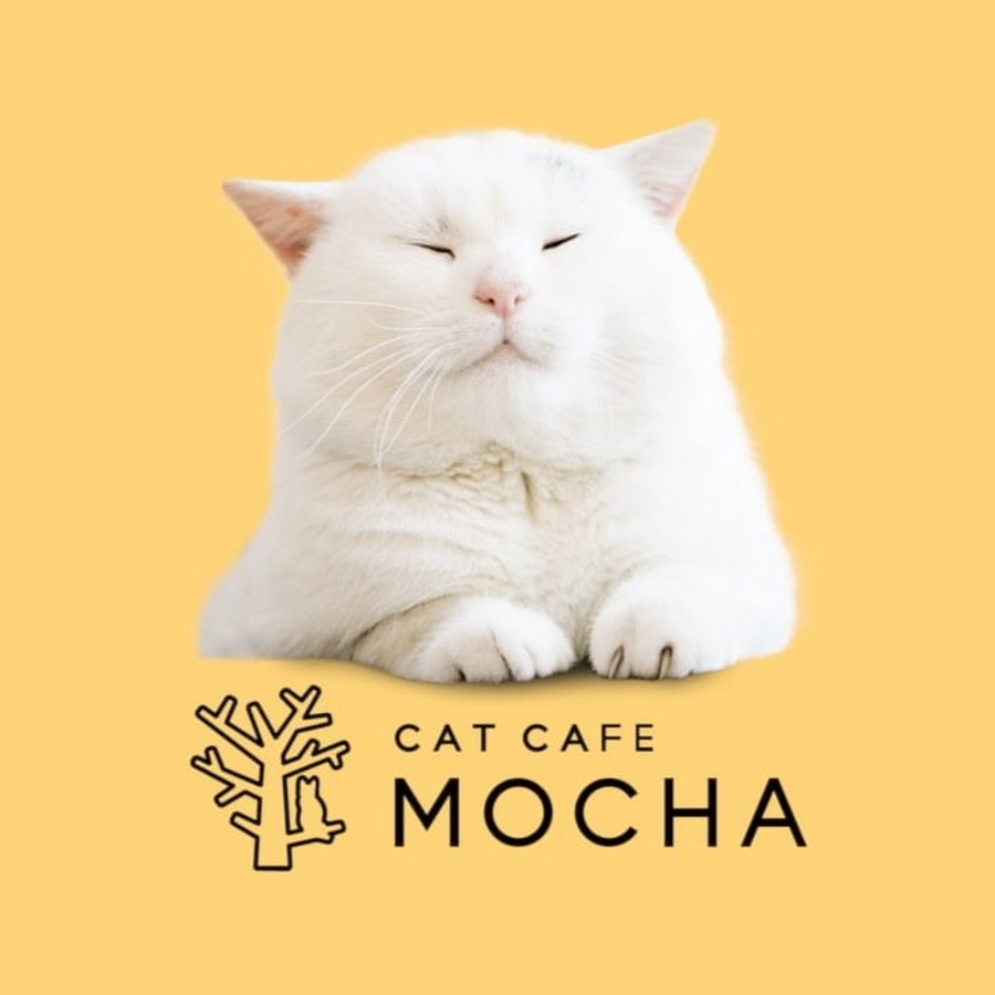 猫カフェMOCHA 池袋本店🐾（東京） | 【グッズ販売のお知らせ
