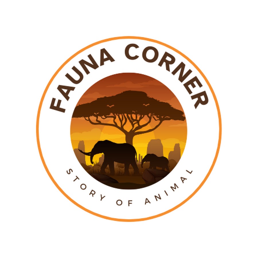 The Fauna Corner