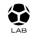 Мяч Lab