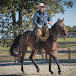 Remount Horsemanship