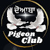 DOABA PIGEON CLUB