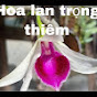 HOA LAN TRỌNG THIÊM