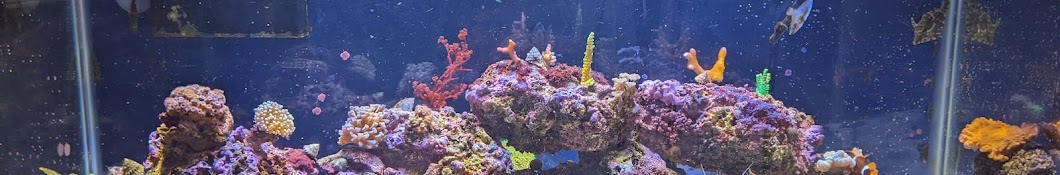 Gina's Reef